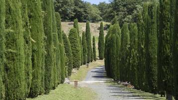 Jardines del alojamiento