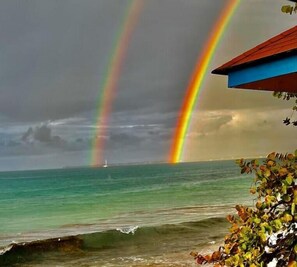On the beach - Entire spacious studio - on Negril Beach.
(Negril)