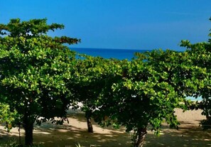On the beach - Entire spacious studio - on Negril Beach.

 (Negril)