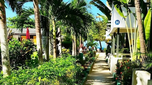 Ein von üppiger Vegetation und Palmen gesäumter Weg, der zu einem Gebäude mit einem 'H'-Schild führt, das ein Hotel kennzeichnet.