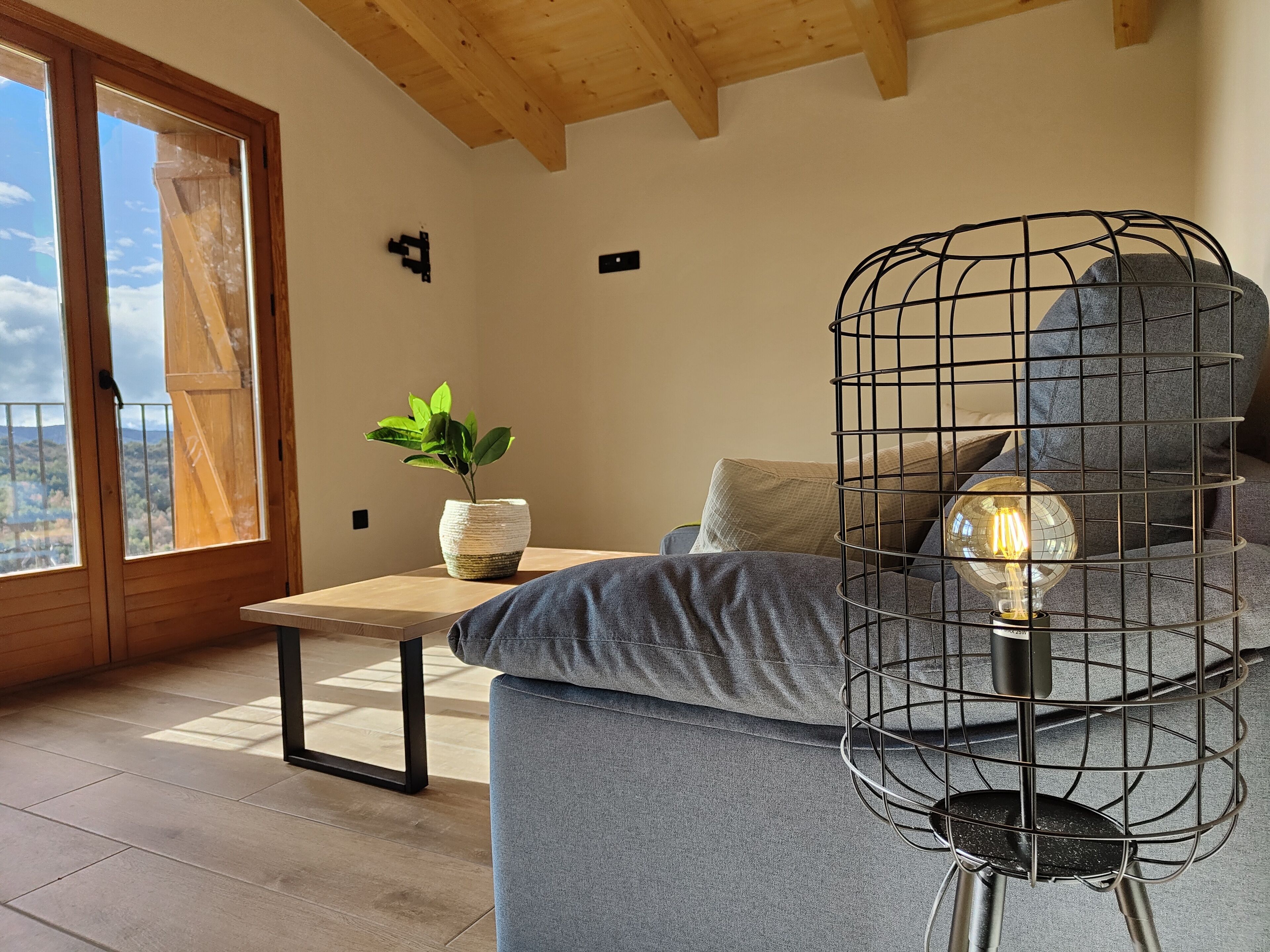 Ein modernes Wohnzimmer mit Holzbalkendecke, einem grauen Sofa, einem kleinen Tisch mit Pflanze und einer besonderen Drahtlampe.