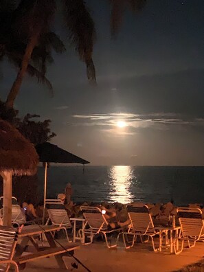 Property grounds - Florida keys condo steps from private beach on Atlantic Ocean and private pool (Key Colony Beach)