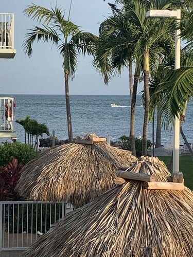 Florida keys condo steps from private beach on Atlantic Ocean and private pool
