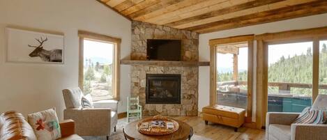 Smart TV, chimenea, videojuegos y reproductor de DVD