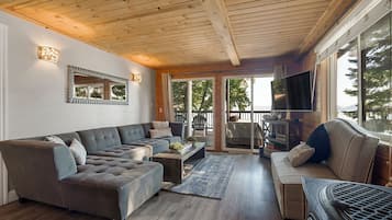 Télévision, cheminée, lecteur de DVD