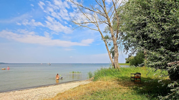 Ein Strand mit einer Bank und einem Baum.