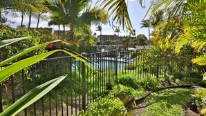 A lush garden with a pool, surrounded by palm trees and various plants. - SUMMER DISCOUNT-- 10% discount on the room rate for Aug. Sept. Just ask Barb. (Kihei)