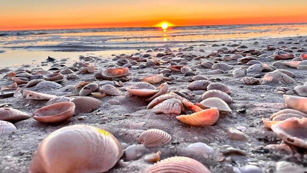 Una playa cerca