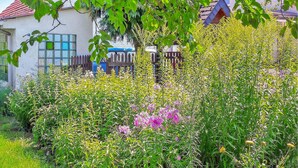 Um jardim com diversas plantas e flores em frente a uma casa com cerca de madeira e um carro azul estacionado perto.