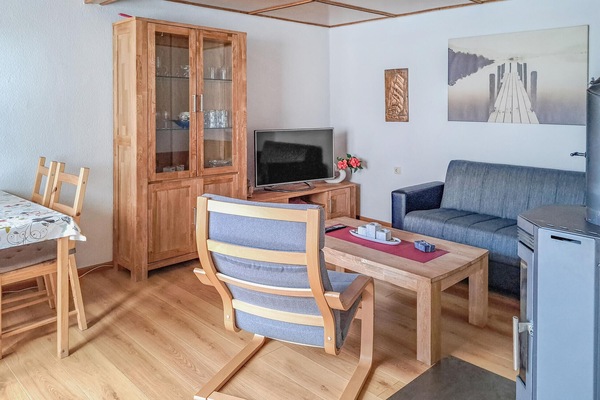 Fernseher, Kamin