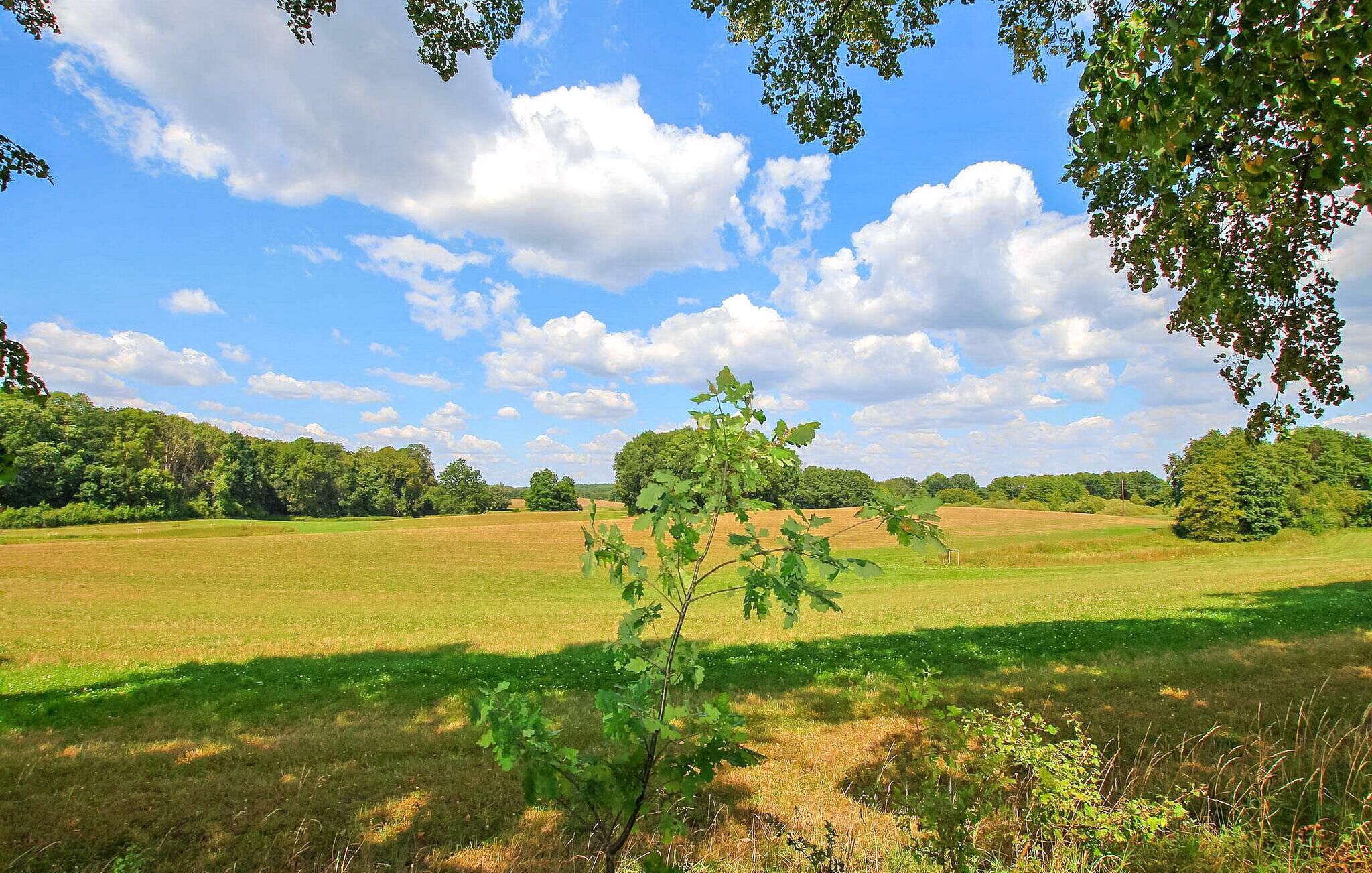 Ländliche Landschaft mit weitläufigen Feldern und blauem Himmel.
