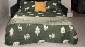A bedroom with a bed, a ceiling fan, and a wall with three framed pictures. - All Season Fully Furnished Home (Waskish)