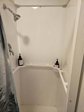 Eco-friendly toiletries, hair dryer, towels
