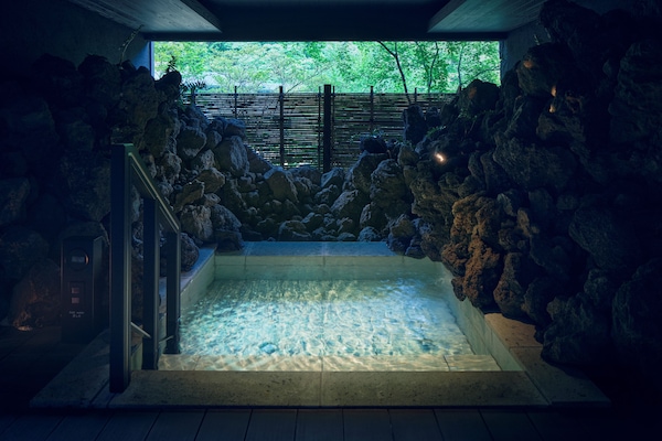 Baignoire et douche séparées, baignoire relaxante profonde