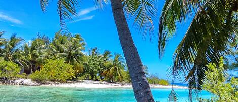 Accommodatie ligt op het strand, ligstoelen, strandlakens