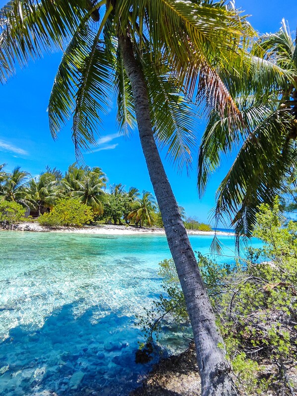 On the beach, sun loungers, beach towels