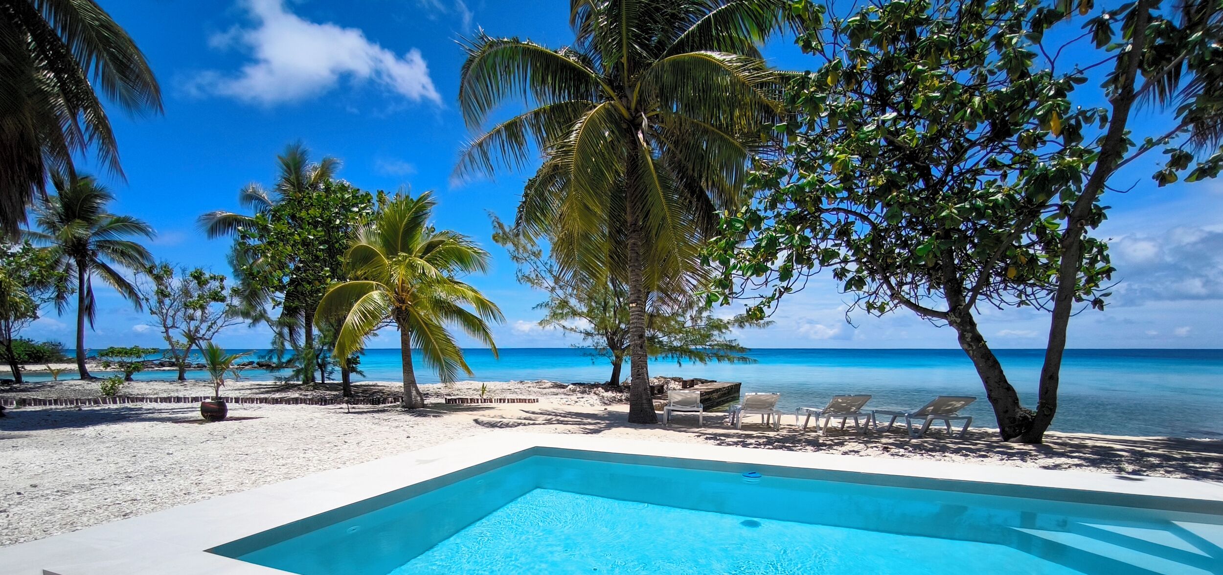 A poolside view with a clear blue sky, palm trees, and a beach.