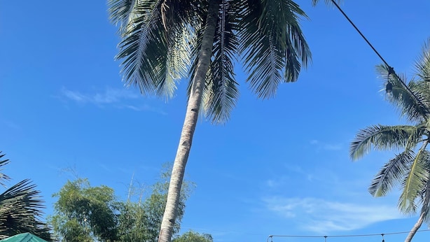 A resort with thatched-roof huts, a pool area, and solar panels on the buildings. - antipolo beach resort in tuburan (Tuburan)