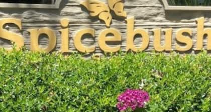 Spice Bush at Hilton Head Island
is close to Harbour Town and Sea Pines.