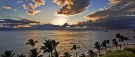 Tæt på stranden, liggestole, badehåndklæder
