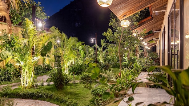 A well-lit outdoor garden area with stone pathways, lush greenery, and hanging lights.
