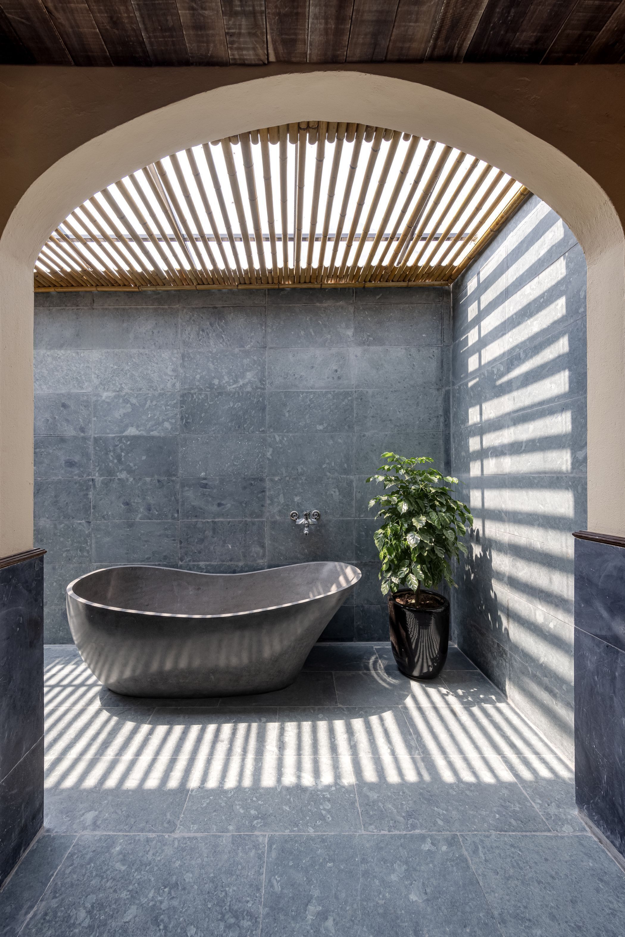 Une salle de bain moderne avec une baignoire sur pieds, une plante en pot et un plafond à lattes.