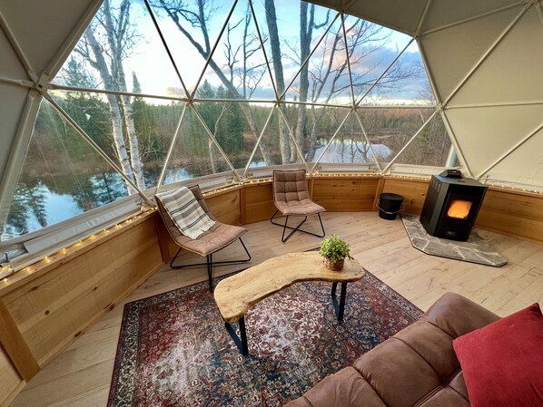 Fireplace, books