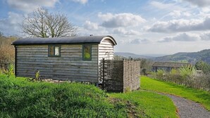 Een rustieke houten chalet met een schuin dak, omgeven door weelderige begroeiing en een grindpad.