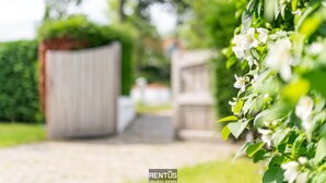 Un camino que conduce a una propiedad con cerramiento, valla de madera y abundante vegetación.