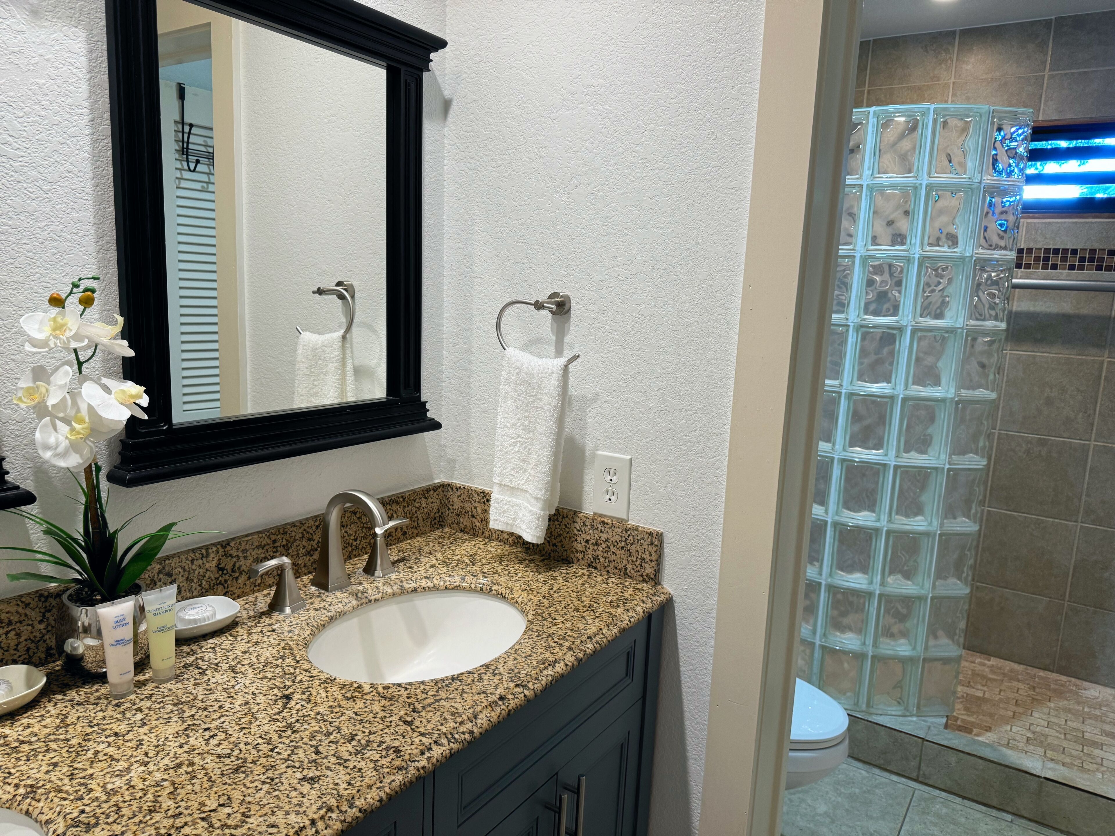 Une salle de bain dotée d’un comptoir en granit, d’un lavabo blanc, d’un miroir, d’un porte-serviettes et d’une cabine de douche en verre.