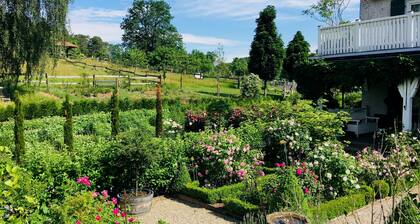 Holiday Home 'GĂ€stehaus Altes Forstamt Sinntal' with Mountain View, Terrace and Wi-Fi