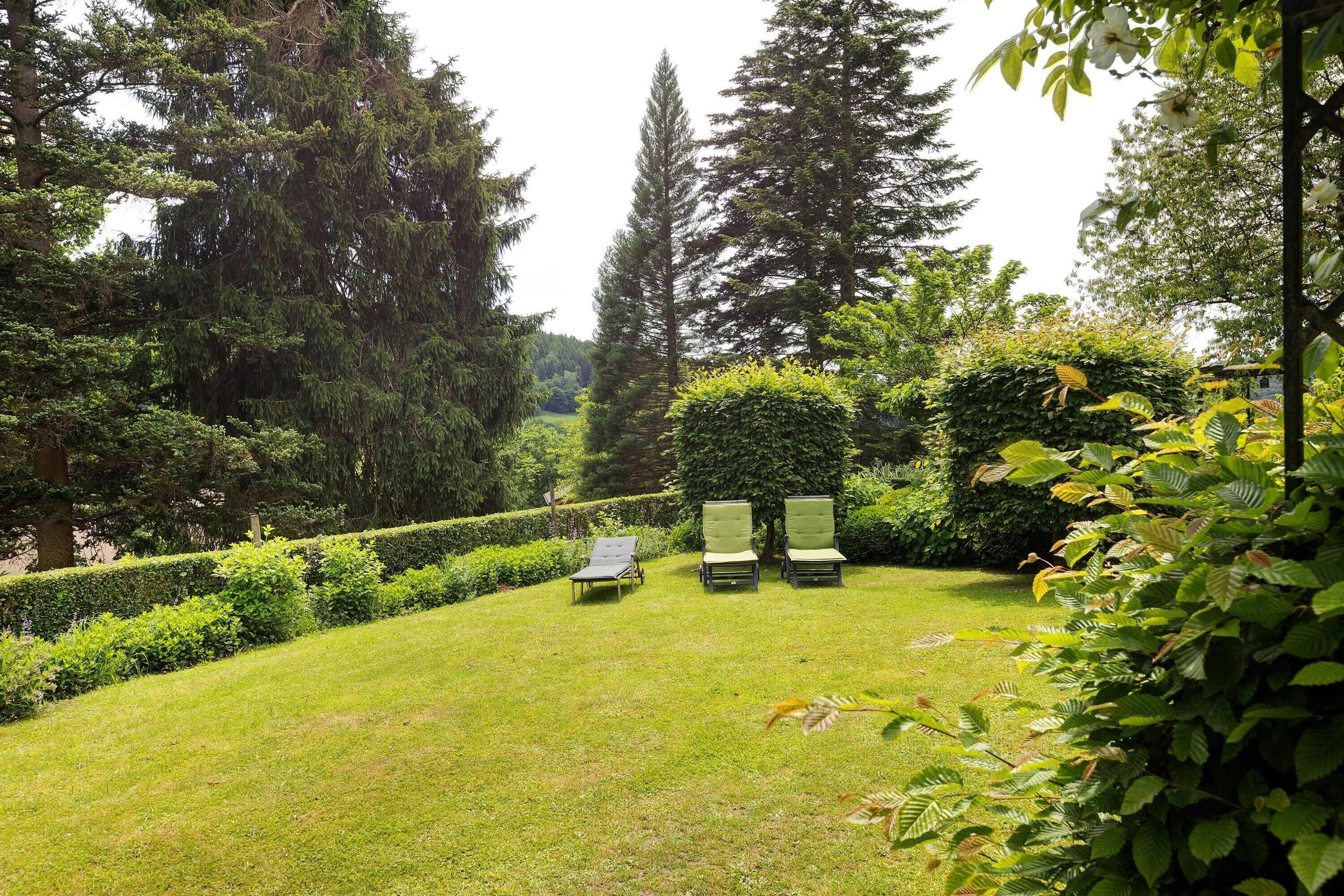 A garden with a lawn, two lounge chairs, and tall trees.