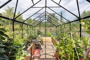 Une serre dotée d’une structure métallique, de bancs en bois et de diverses plantes.
