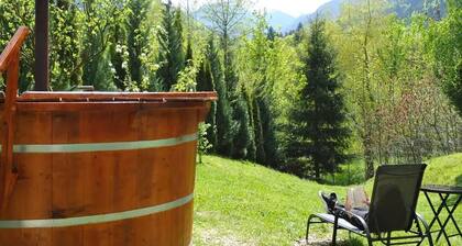 Apartament 2 camere Roberta Breaza Transylvania
Petfriendly