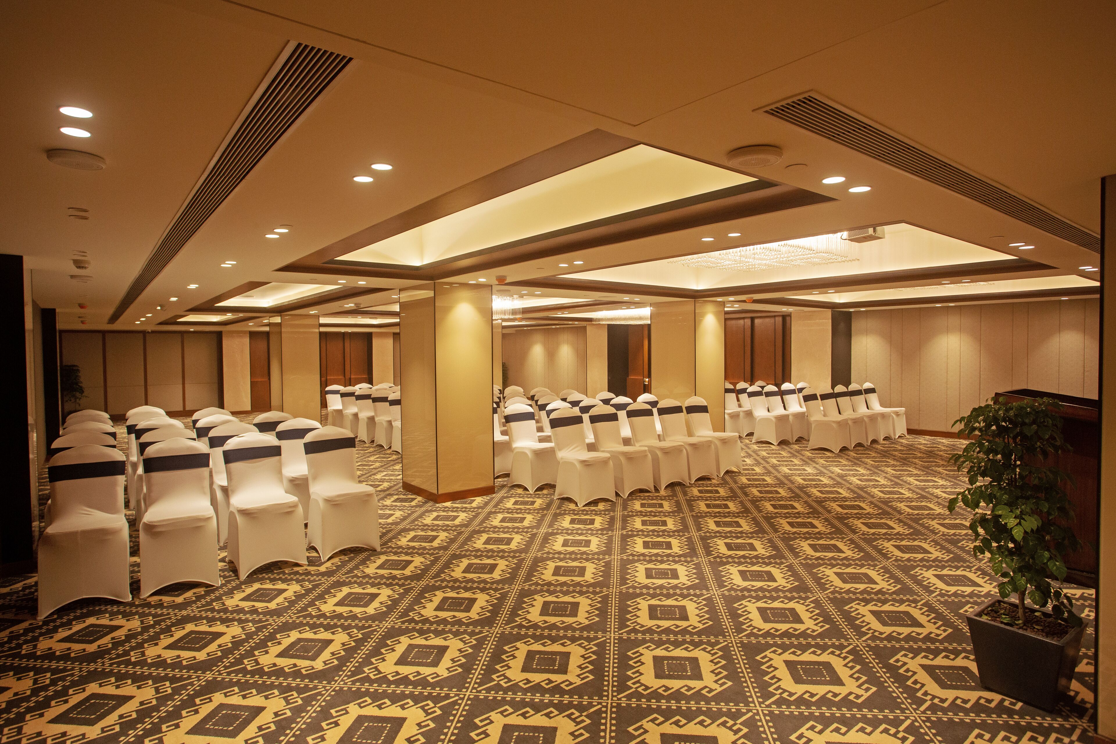 A conference room with rows of white chairs, a patterned carpet, and a large potted plant.