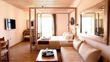 Junior Studio Suite