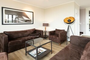 智能電視、壁爐、DVD 播放機