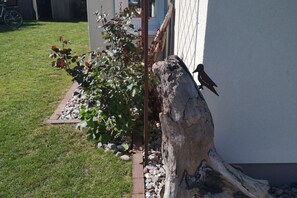 Detalj exteriör