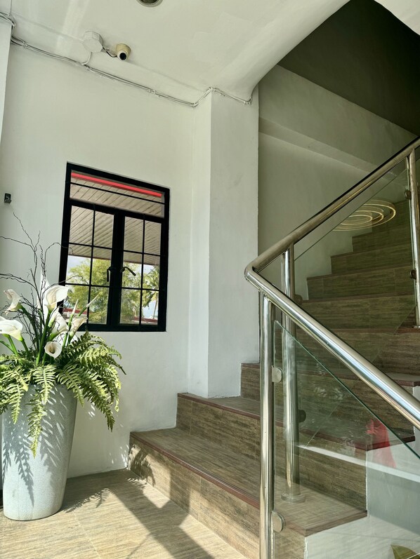 A staircase with a glass railing and a potted plant beside it.