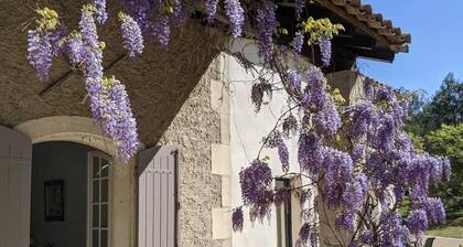 Maison de Charme Dans le Parc Naturel des Alpilles 2 à 6 Personnes