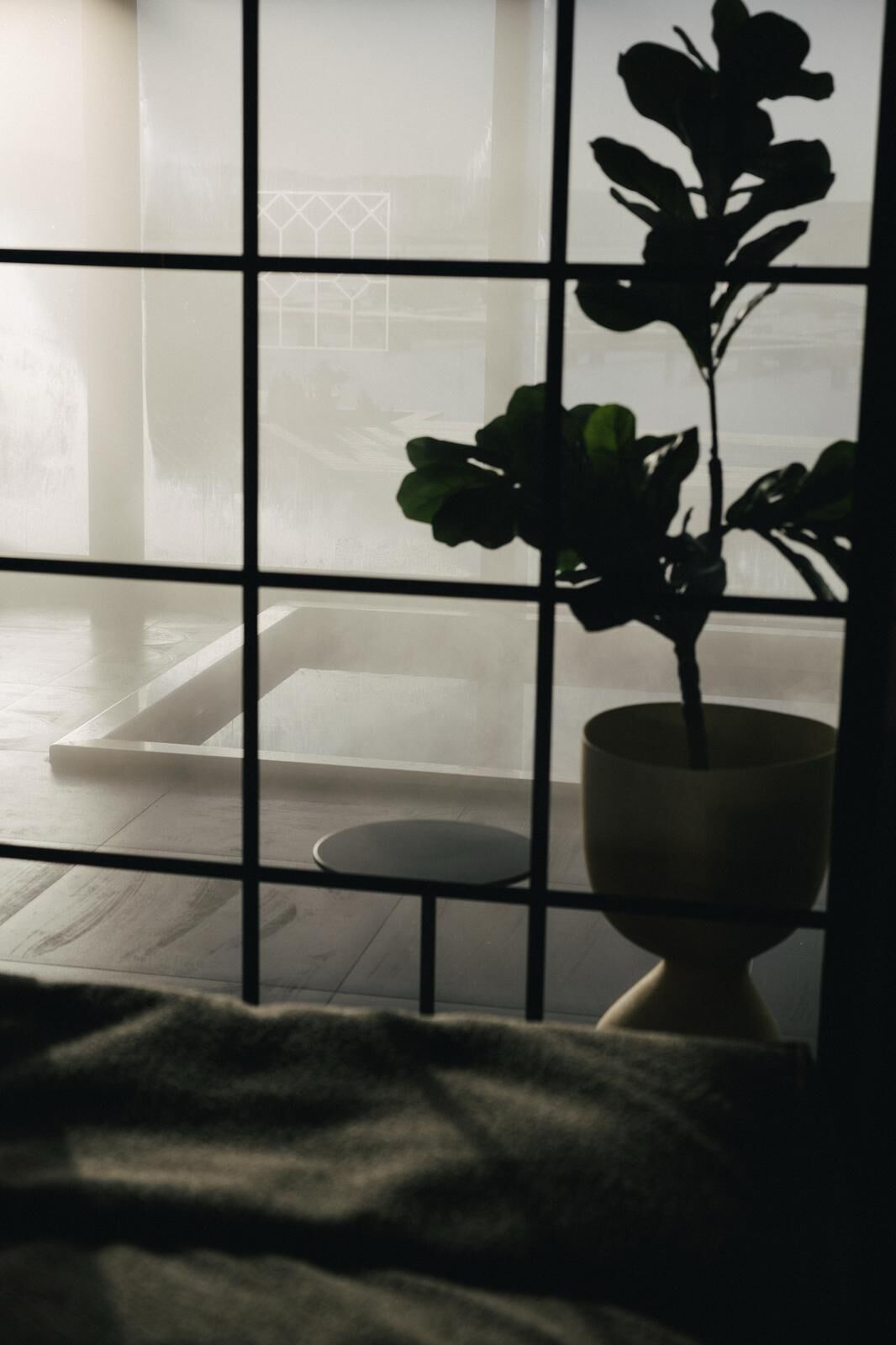 A room with a large window, a potted plant, and a bathtub.