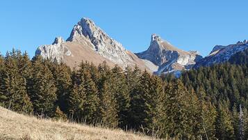 SĂšche-cheveux, serviettes fournies, savon, shampoing