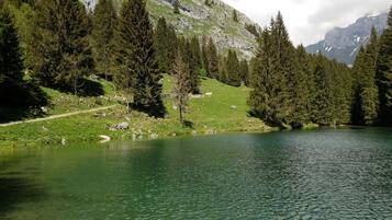 Enceinte de lâhĂ©bergement