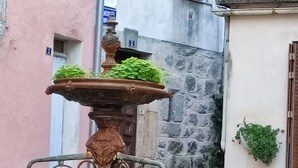 Une fontaine surmontée d’une tête de lion, entourée de murs en pierre et de plantes en pot.