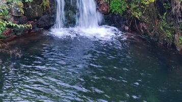 Una piccola cascata in un ambiente naturale, circondata da rocce e vegetazione.