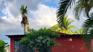 Pequeño edificio rojo con una ventana y una puerta a la vista, rodeado de hierba verde exuberante y palmeras.