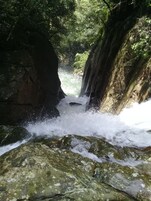 Un río serpentea por un desfiladero rocoso, bordeado por una vegetación densa a ambos lados.