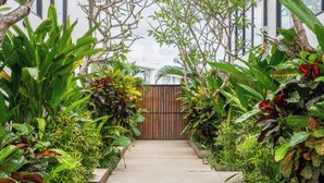 Un sentier menant à une entrée fermée par un portail, entourée d’une végétation tropicale luxuriante.