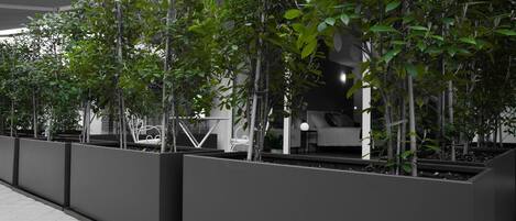 Enceinte de l’hébergement