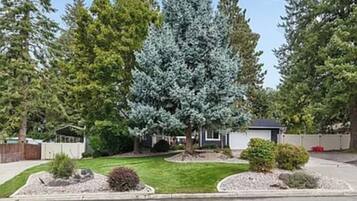 Zona residencial con césped cuidado, un gran árbol de coníferas y un cobertizo pequeño.